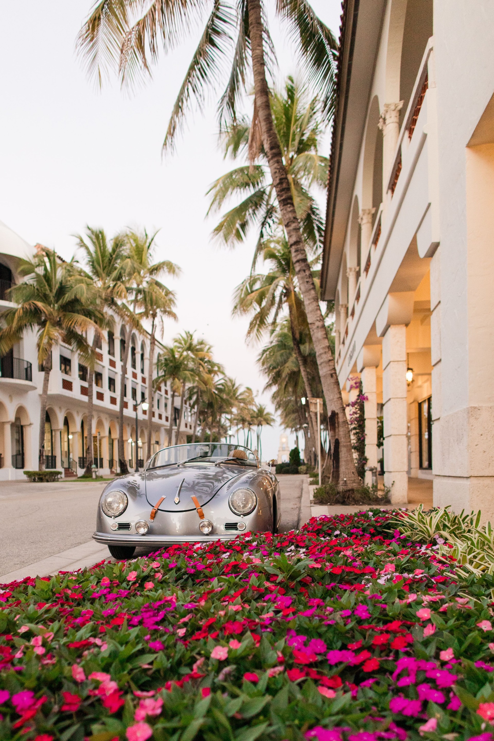 Palm Trees Over Empty Worth Avenue, Palm Beach, April of 2025
