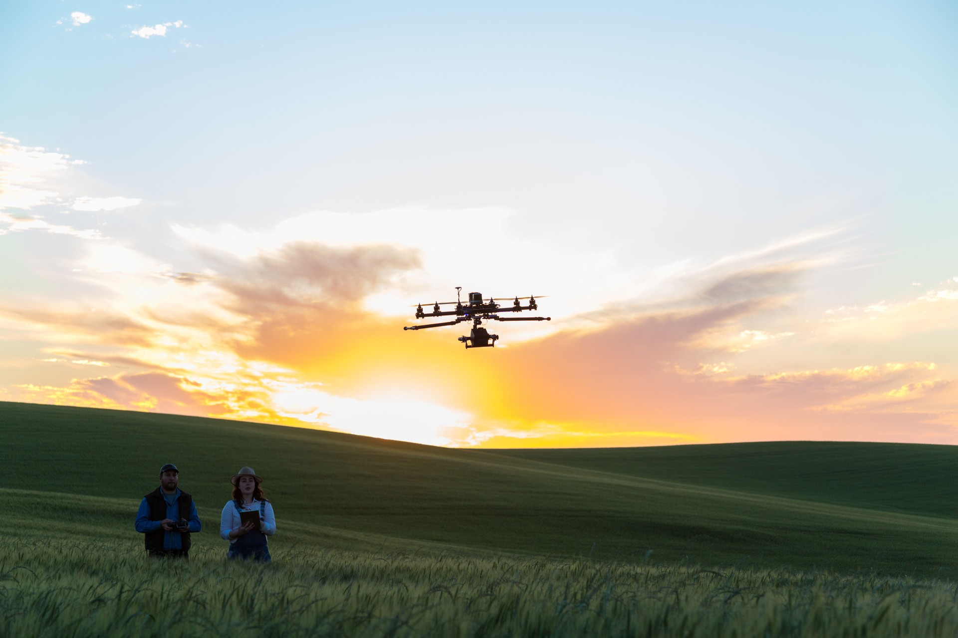 Drone no copyright fly in the wheat crop